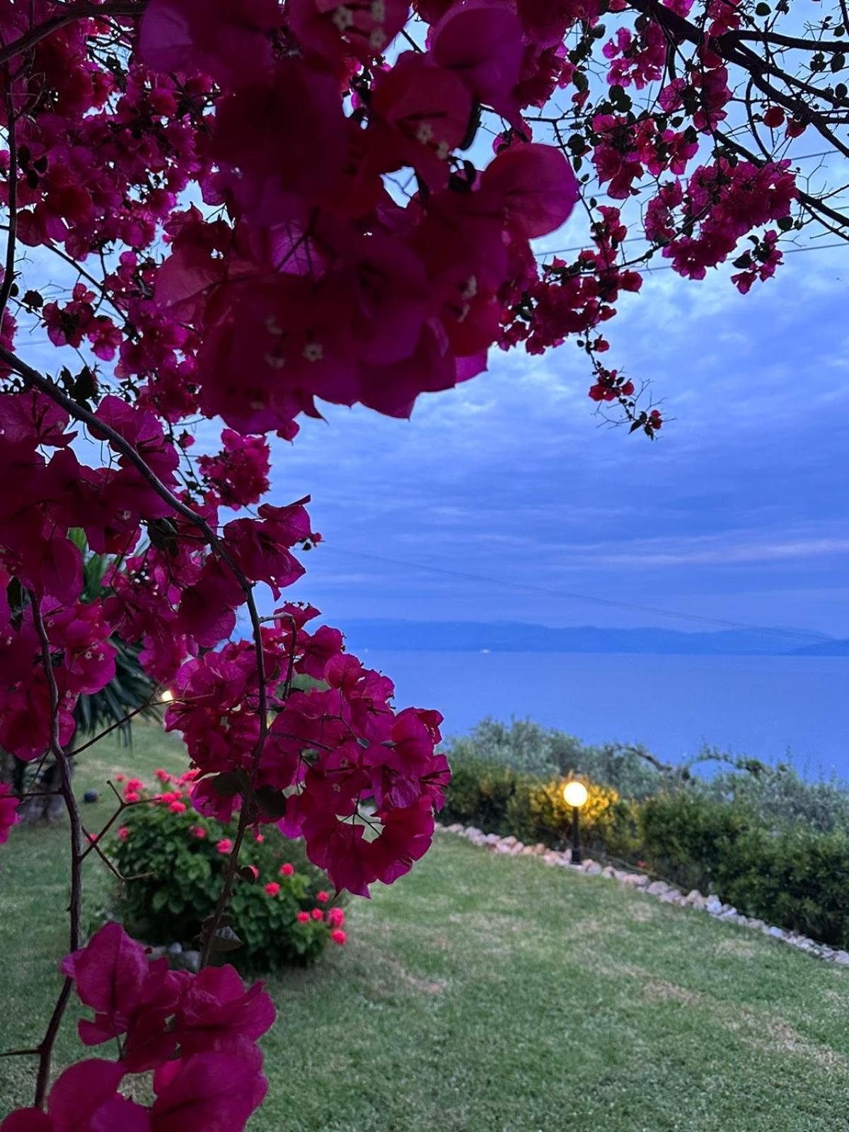 Apartament Ionian Sea View By Hotelius *