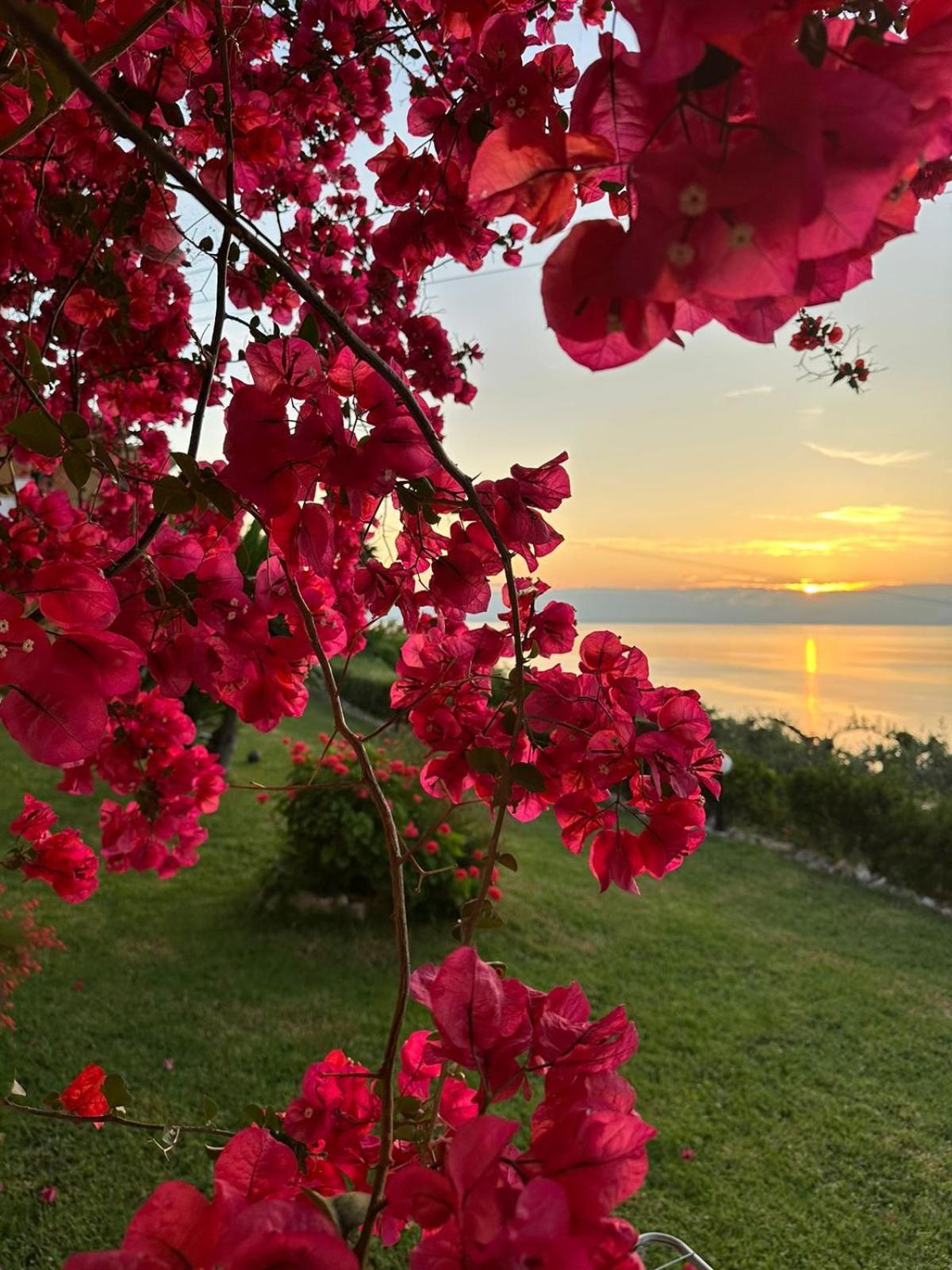 Apartament Ionian Sea View By Hotelius Episkopiana (Corfu)